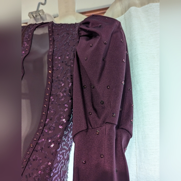 Weismman Dance Costume - Picture 7 of 8